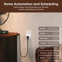 Wyze Plug