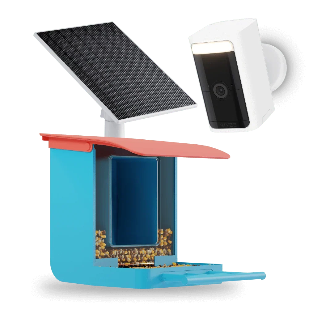 Bird Feeder Wireless Camera Bundle