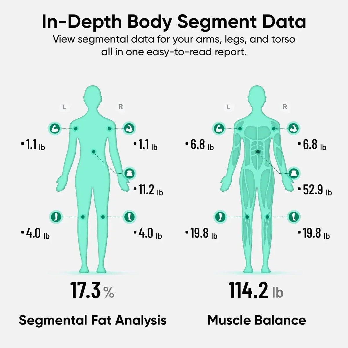 Wyze Scale Ultra BodyScan