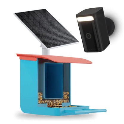 Bird Feeder Wireless Camera Bundle