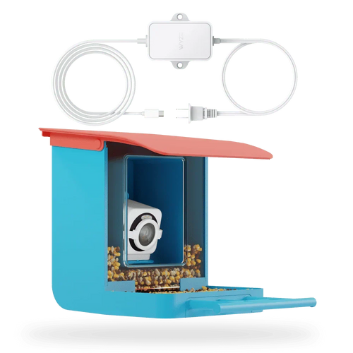 Bird Feeder Plug-in Cam v4 Bundle