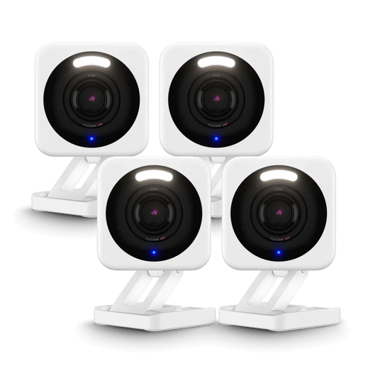 Small Business Monitoring Basic