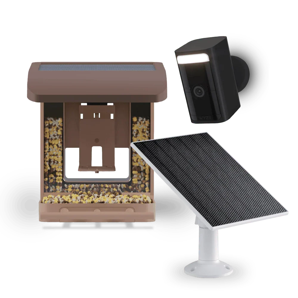 Bird Feeder Wireless Camera Bundle