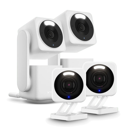 Small Business Monitoring Plus